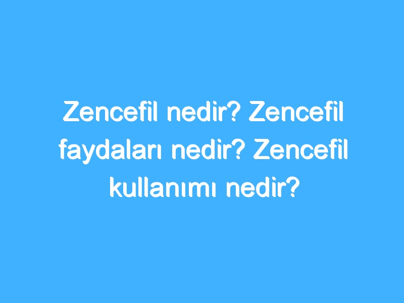 Zencefil nedir? Zencefil faydaları nedir? Zencefil kullanımı nedir?