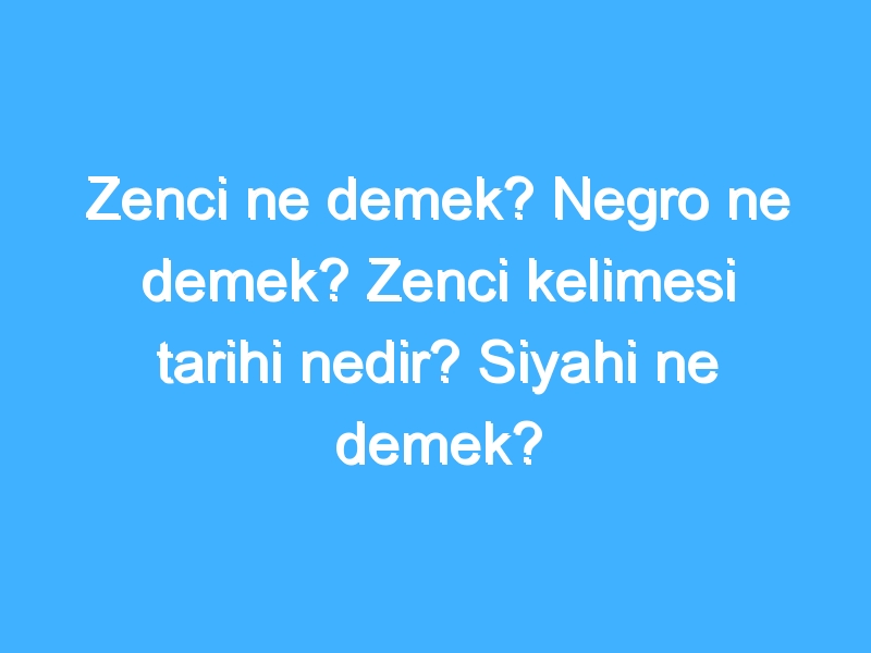 Zenci ne demek? Negro ne demek? Zenci kelimesi tarihi nedir? Siyahi ne demek?