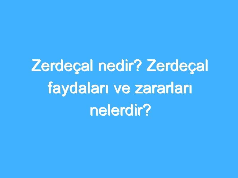 Zerdeçal nedir? Zerdeçal faydaları ve zararları nelerdir?