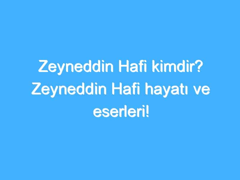 Zeyneddin Hafi kimdir? Zeyneddin Hafi hayatı ve eserleri!