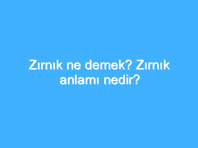 Zırnık ne demek? Zırnık anlamı nedir?