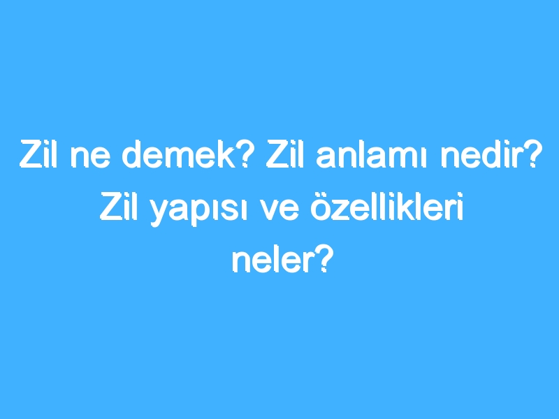 Zil ne demek? Zil anlamı nedir? Zil yapısı ve özellikleri neler?