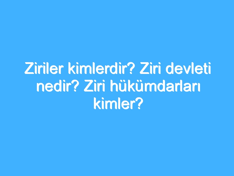 Ziriler kimlerdir? Ziri devleti nedir? Ziri hükümdarları kimler?