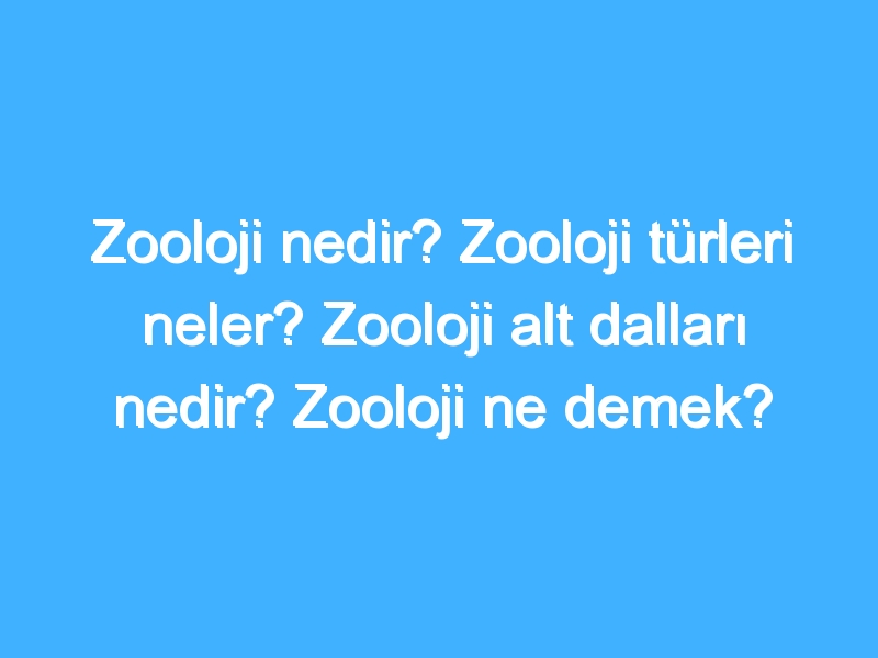 Zooloji nedir? Zooloji türleri neler? Zooloji alt dalları nedir? Zooloji ne demek?