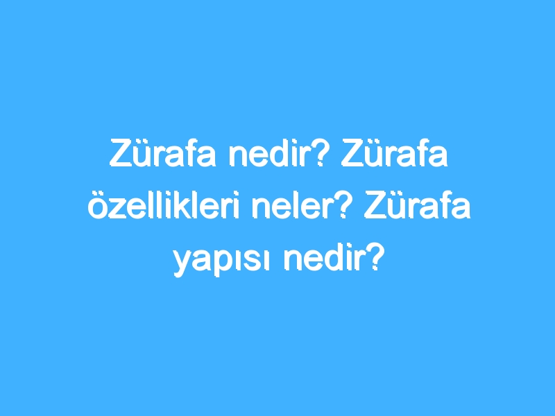 Zürafa nedir? Zürafa özellikleri neler? Zürafa yapısı nedir?