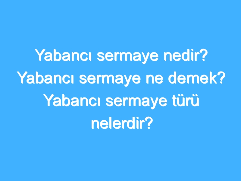 Yabancı sermaye nedir? Yabancı sermaye ne demek? Yabancı sermaye türü nelerdir?