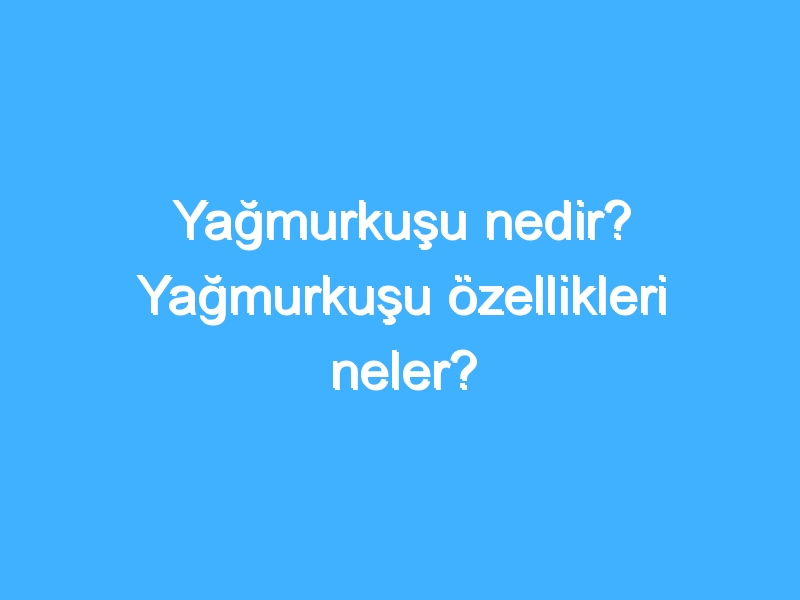 Yağmurkuşu nedir? Yağmurkuşu özellikleri neler?