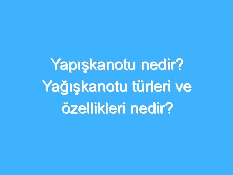 Yapışkanotu nedir? Yağışkanotu türleri ve özellikleri nedir?