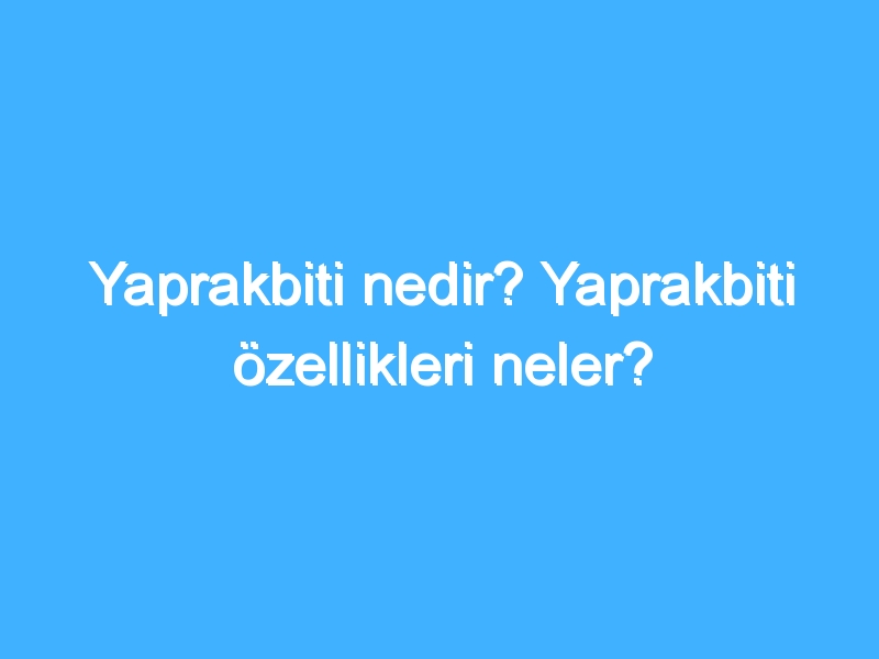 Yaprakbiti nedir? Yaprakbiti özellikleri neler?