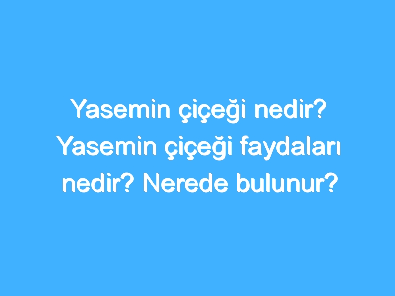 Yasemin çiçeği nedir? Yasemin çiçeği faydaları nedir? Nerede bulunur?