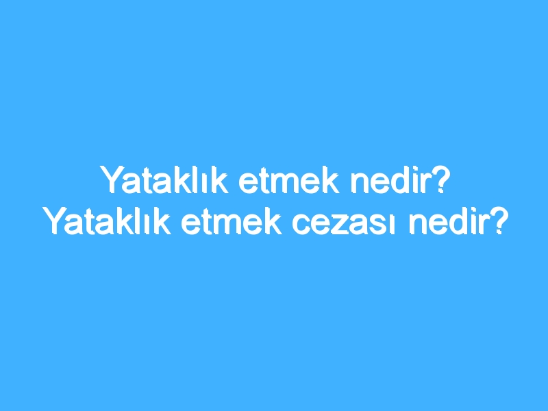 Yataklık etmek nedir? Yataklık etmek cezası nedir?