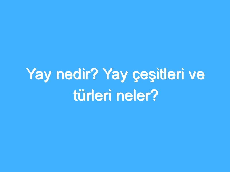 Yay nedir? Yay çeşitleri ve türleri neler?