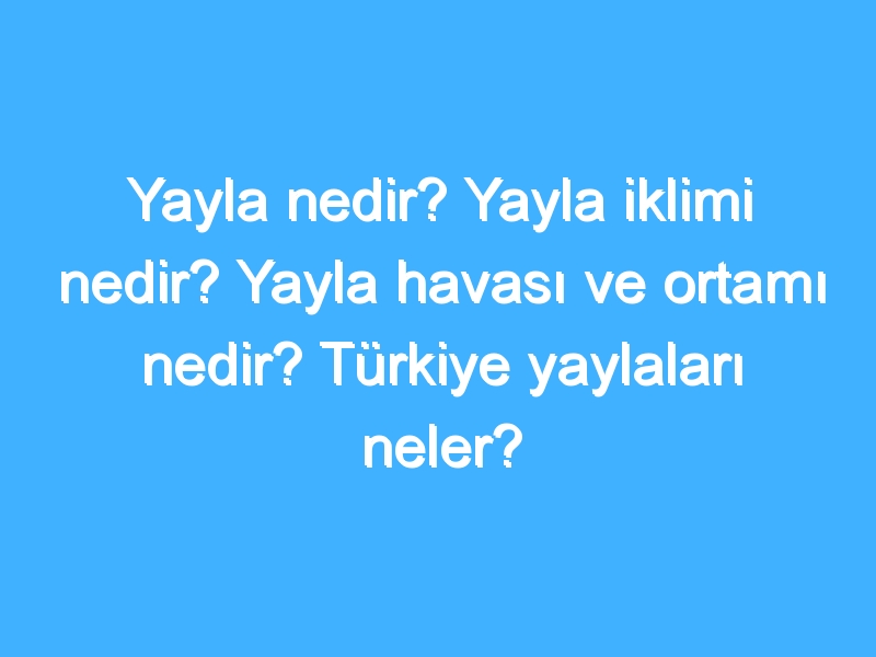 Yayla nedir? Yayla iklimi nedir? Yayla havası ve ortamı nedir? Türkiye yaylaları neler?