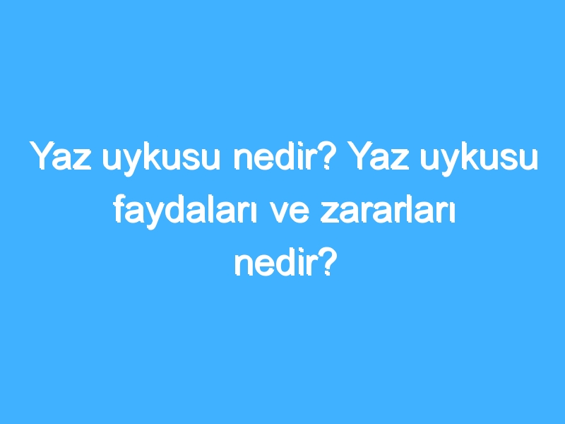 Yaz uykusu nedir? Yaz uykusu faydaları ve zararları nedir?