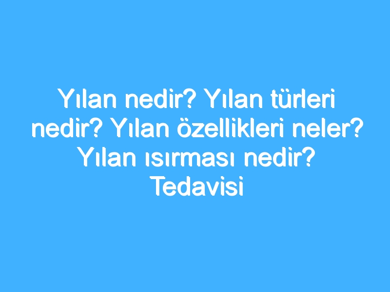 Yılan nedir? Yılan türleri nedir? Yılan özellikleri neler? Yılan ısırması nedir? Tedavisi nedir?