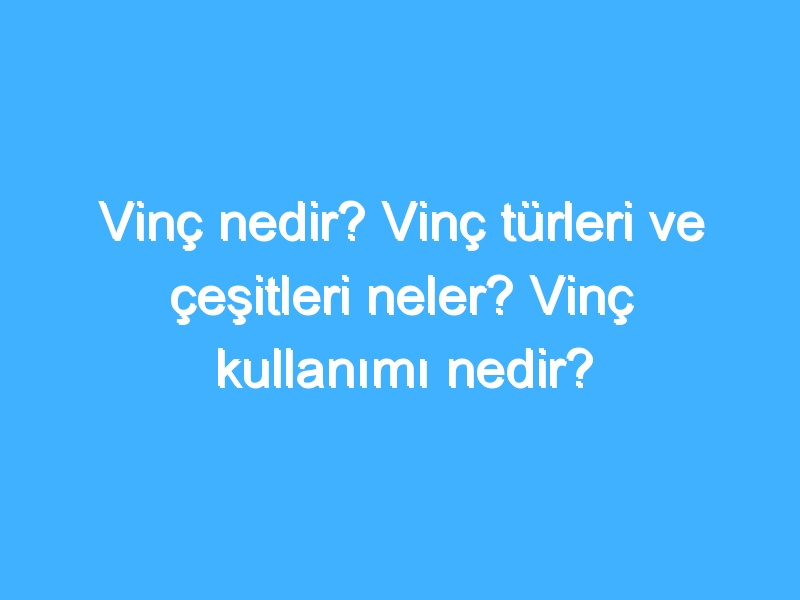 Vinç nedir? Vinç türleri ve çeşitleri neler? Vinç kullanımı nedir?