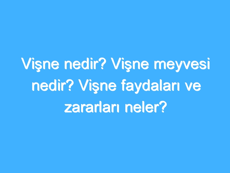 Vişne nedir? Vişne meyvesi nedir? Vişne faydaları ve zararları neler?