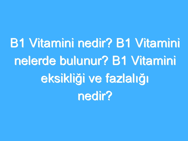 B1 Vitamini nedir? B1 Vitamini nelerde bulunur? B1 Vitamini eksikliği ve fazlalığı nedir?