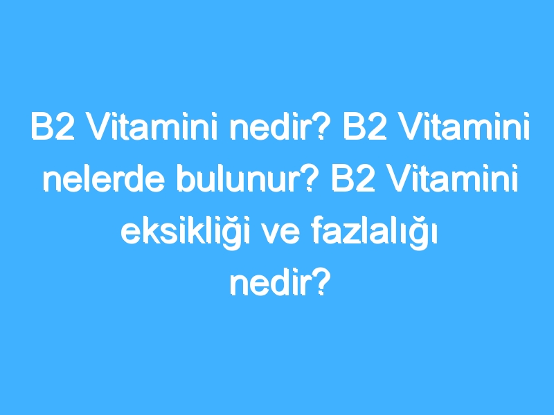 B2 Vitamini nedir? B2 Vitamini nelerde bulunur? B2 Vitamini eksikliği ve fazlalığı nedir?