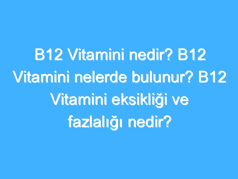 B12 Vitamini nedir? B12 Vitamini nelerde bulunur? B12 Vitamini eksikliği ve fazlalığı nedir?