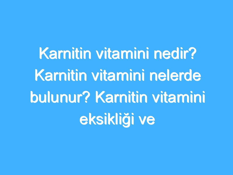 Karnitin vitamini nedir? Karnitin vitamini nelerde bulunur? Karnitin vitamini eksikliği ve fazlalığı nedir?