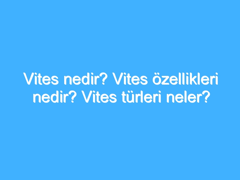 Vites nedir? Vites özellikleri nedir? Vites türleri neler?