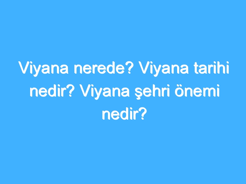 Viyana nerede? Viyana tarihi nedir? Viyana şehri önemi nedir?