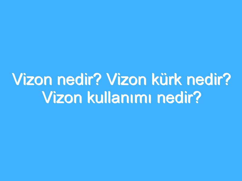 Vizon nedir? Vizon kürk nedir? Vizon kullanımı nedir?