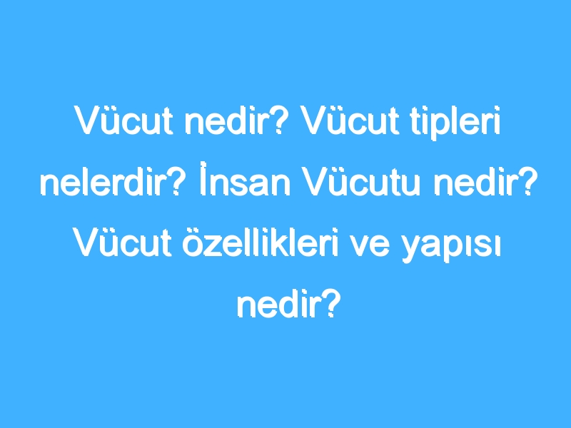 Vücut nedir? Vücut tipleri nelerdir? İnsan Vücutu nedir? Vücut özellikleri ve yapısı nedir?