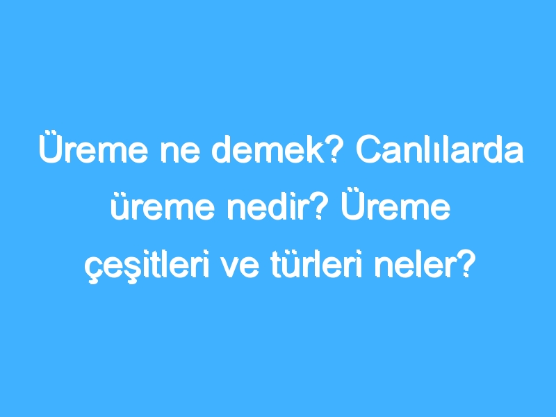 Üreme ne demek? Canlılarda üreme nedir? Üreme çeşitleri ve türleri neler?