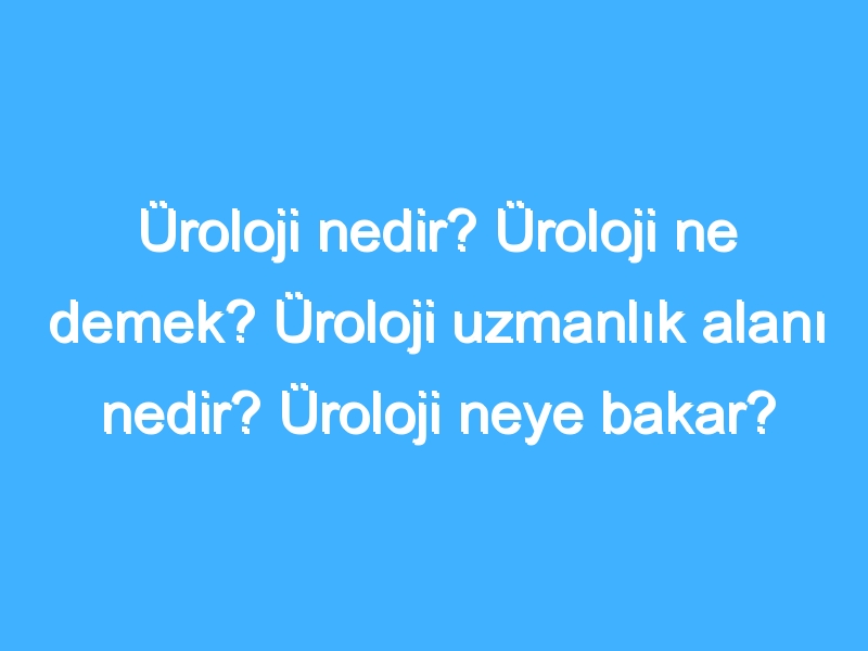 Üroloji nedir? Üroloji ne demek? Üroloji uzmanlık alanı nedir? Üroloji neye bakar?