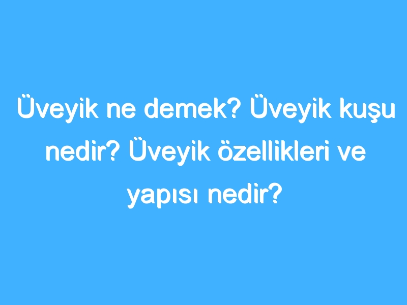 Üveyik ne demek? Üveyik kuşu nedir? Üveyik özellikleri ve yapısı nedir?