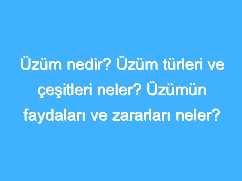 Üzüm nedir? Üzüm türleri ve çeşitleri neler? Üzümün faydaları ve zararları neler? Üzüm nasıl yetiştirilir?