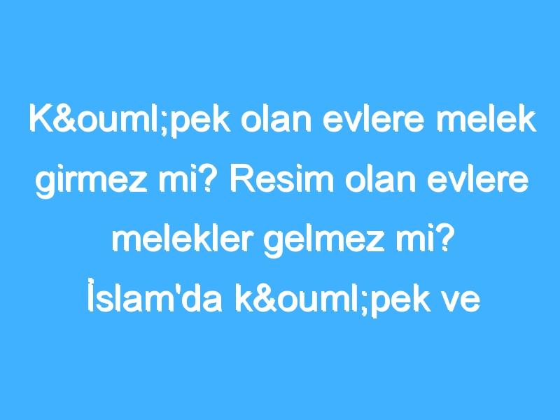 Köpek olan evlere melek girmez mi? Resim olan evlere melekler gelmez mi? İslam'da köpek ve resimli evler nedir?